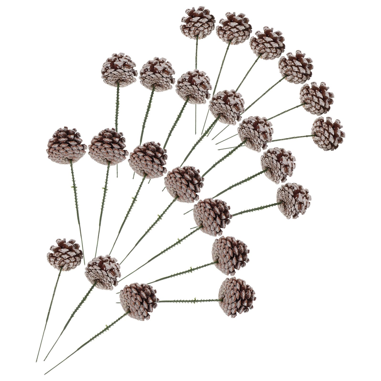 Piñas Decorativas Naturales para Manualidades 30 Piezas, Surtido de Piñas de Pino (4-7 Cm), Adornos Rústicos para Guirnaldas y Arreglos, Adecuado para Fiestas y Decoración