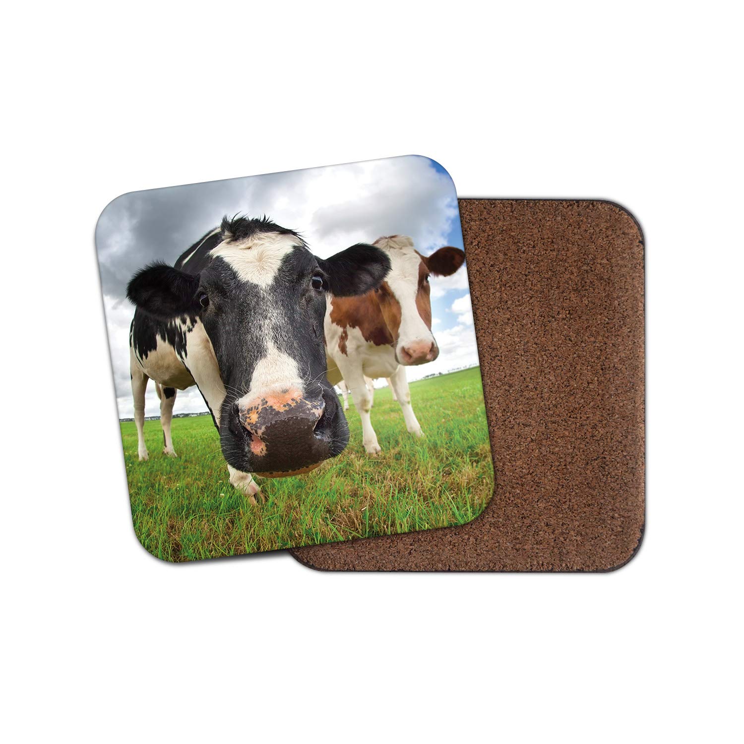 1 x Curious Cattle Coaster - Cow Farm Farmer Funny Bull Animal Dairy #12314