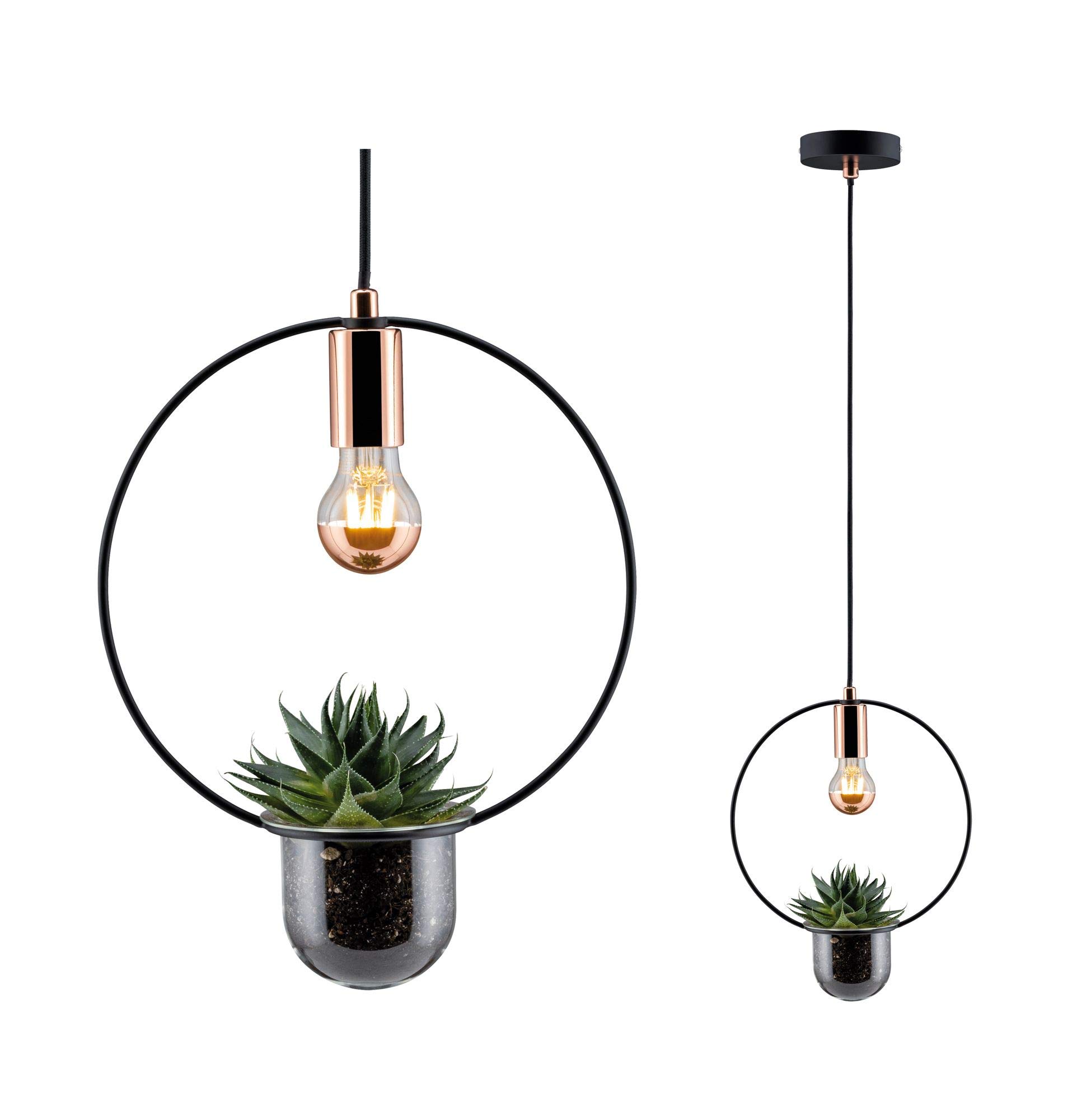 Paulmann 797.48 iluminación de techo Negro, Cobre E27 - Lámpara (Universal, Negro, Cobre, IP20, Cepillado, Metal, II)