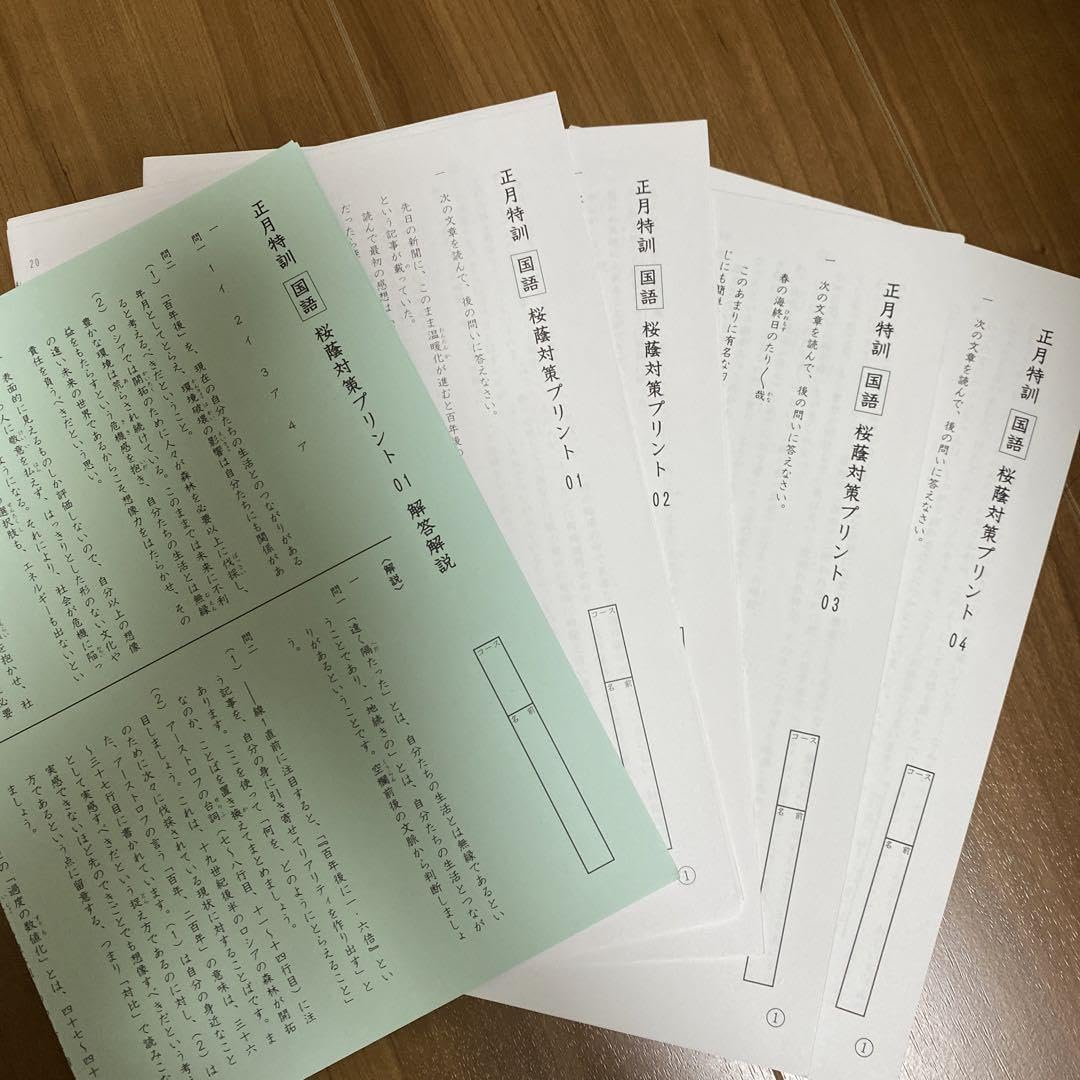 桜蔭対策プリント　国語　サピックス　６年　書込みなし 桜蔭対策プリント 国語 サピックス 6年 書込みなし 桜蔭対策