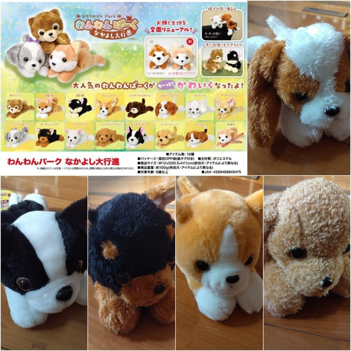Amazon.co.jp: ◇ぬいぐるみ わんわんぱーく なかよし大行進 5匹