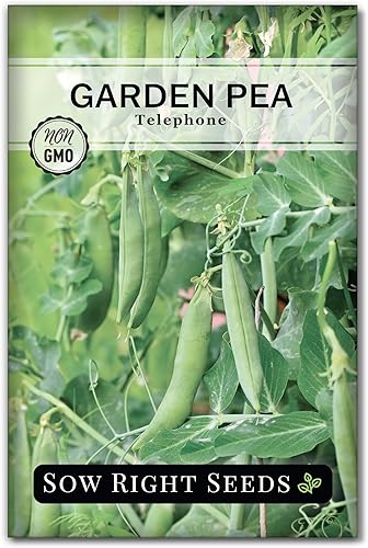 Sow Right Seeds - Semillas de guisantes telefónicos para plantar - Paquete de reliquia sin OMG con instrucciones para cultivar un huerto doméstico