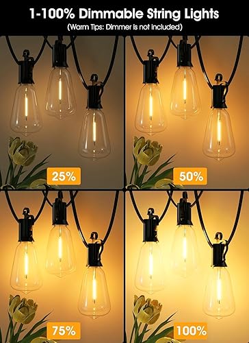 Miniatura 6 de Brightown Guirnalda de luces LED para exteriores de 30 pies con 16 bombillas Edison vintage ST38 inastillables, luces colgantes exteriores