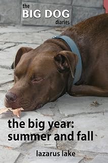 The Big Year - Summer and Fall (The Big Dog Diaries)