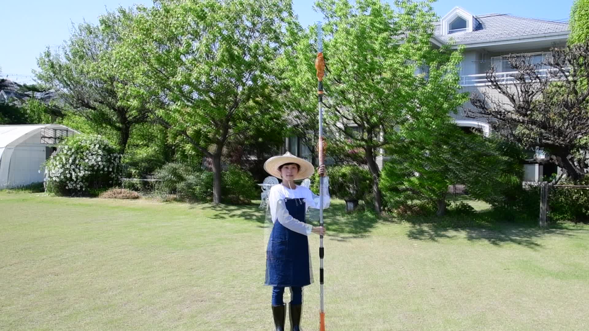 101 山採り マンサク Amazon.com: Wazakura Small Japanese Garden