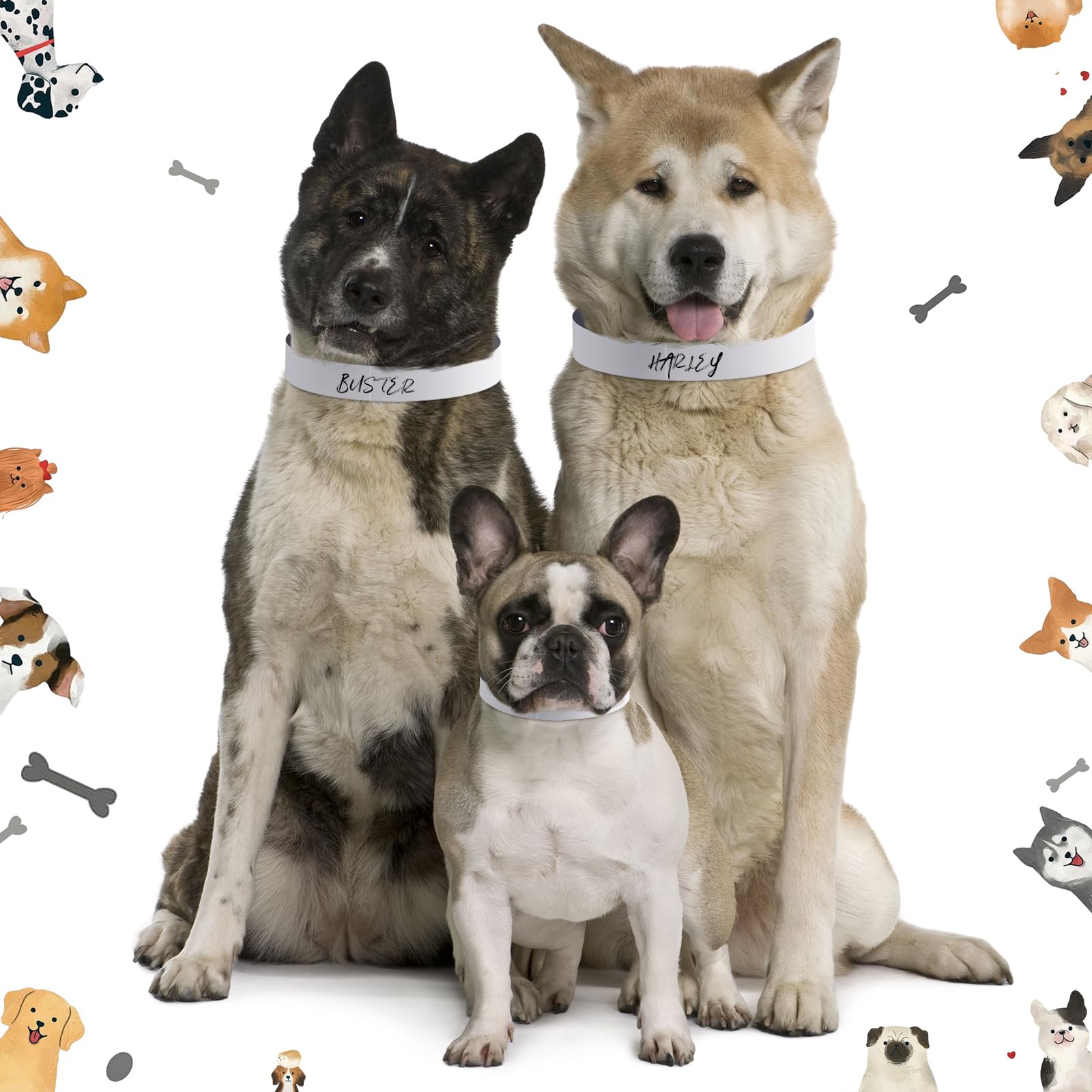 500 collares de perro de 20 pulgadas, impermeables, con papel resistente al desgarro, collares de identificación de cachorros, collares adhesivos de identificación de mascotas para perros