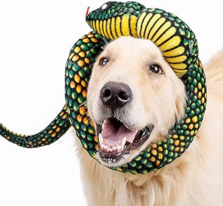 accesorios para perros amazon