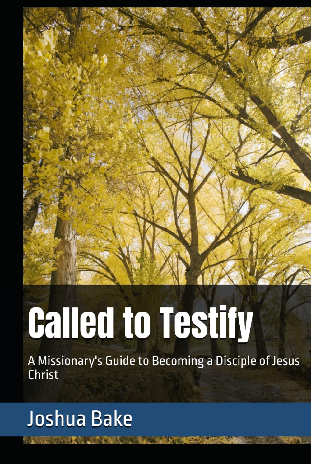 Called to Testify: A Missionary's Guide to Becoming a Disciple of Jesus Christ