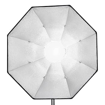 Amazon | SMDV ソフトボックス FLIP Beauty 20 本体のみ 50cm