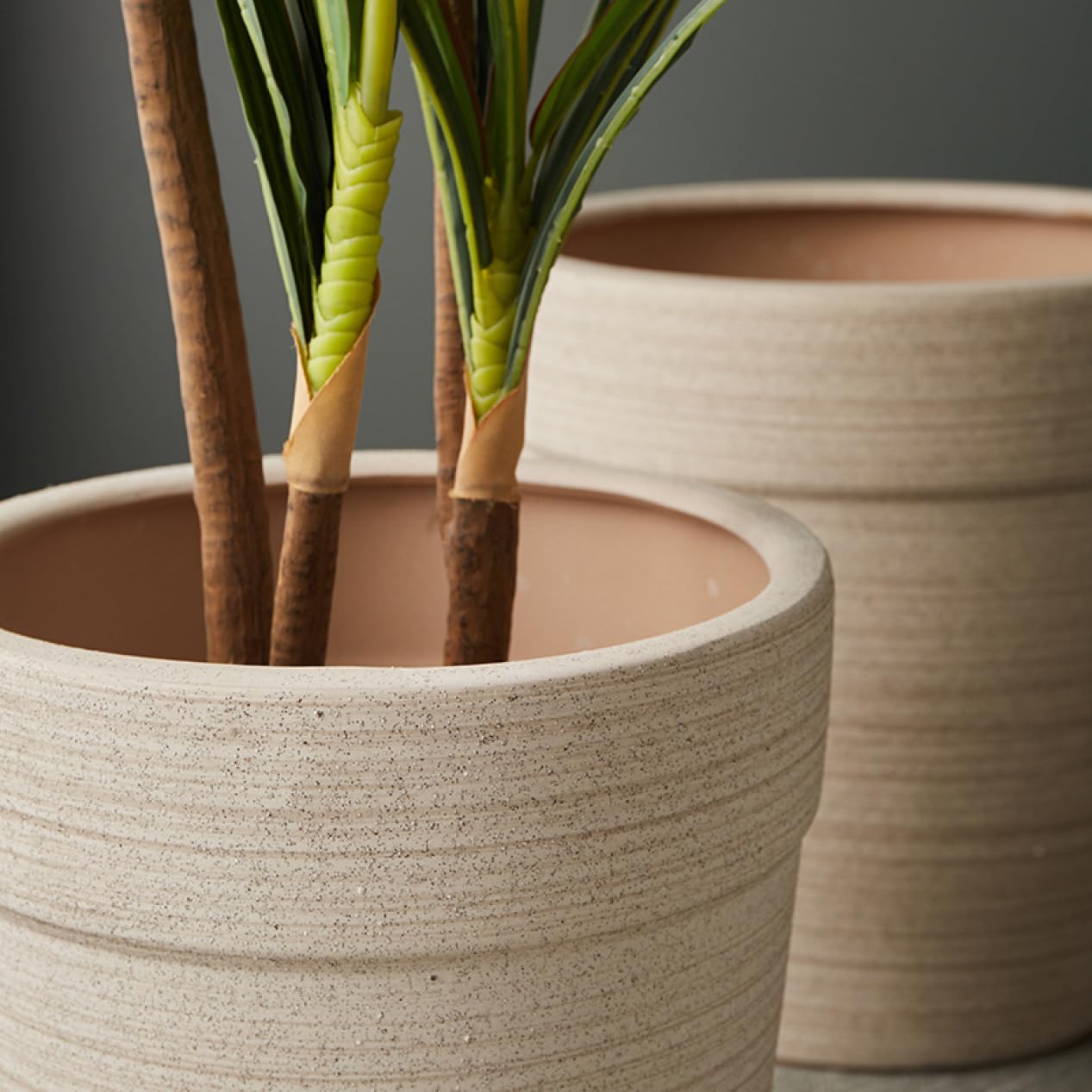 Amazon.co.jp: プランター 大きいサイズ 深い 高い 植木鉢 陶器 大型 