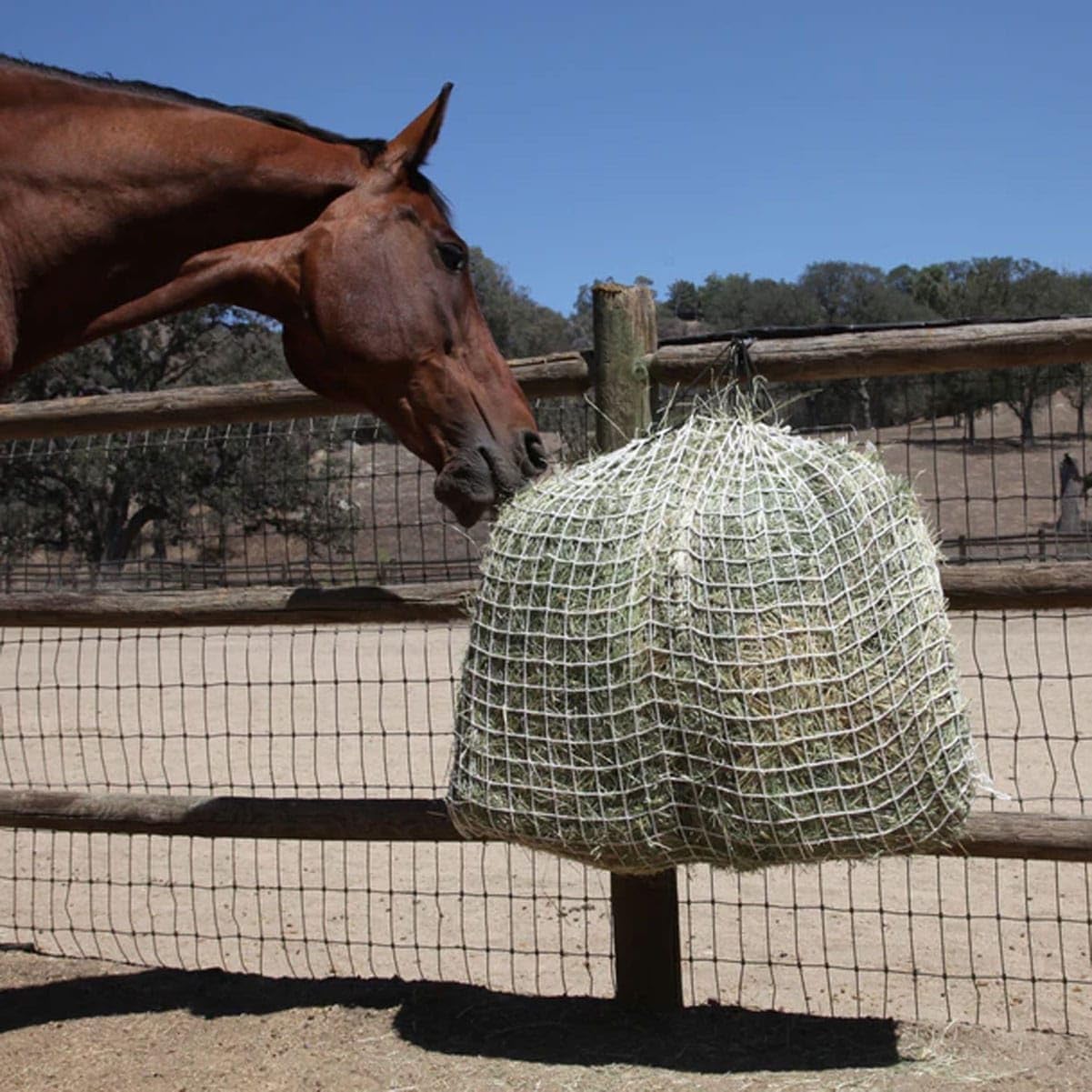 Freedom Feeder Mesh Net Full Day Slow Horse Feeder — Designed to Hold 30 lbs/4 Flakes of Hay and Feed Horse All Day — Reduces Horse Feeding Anxiety and Behavioral Issues