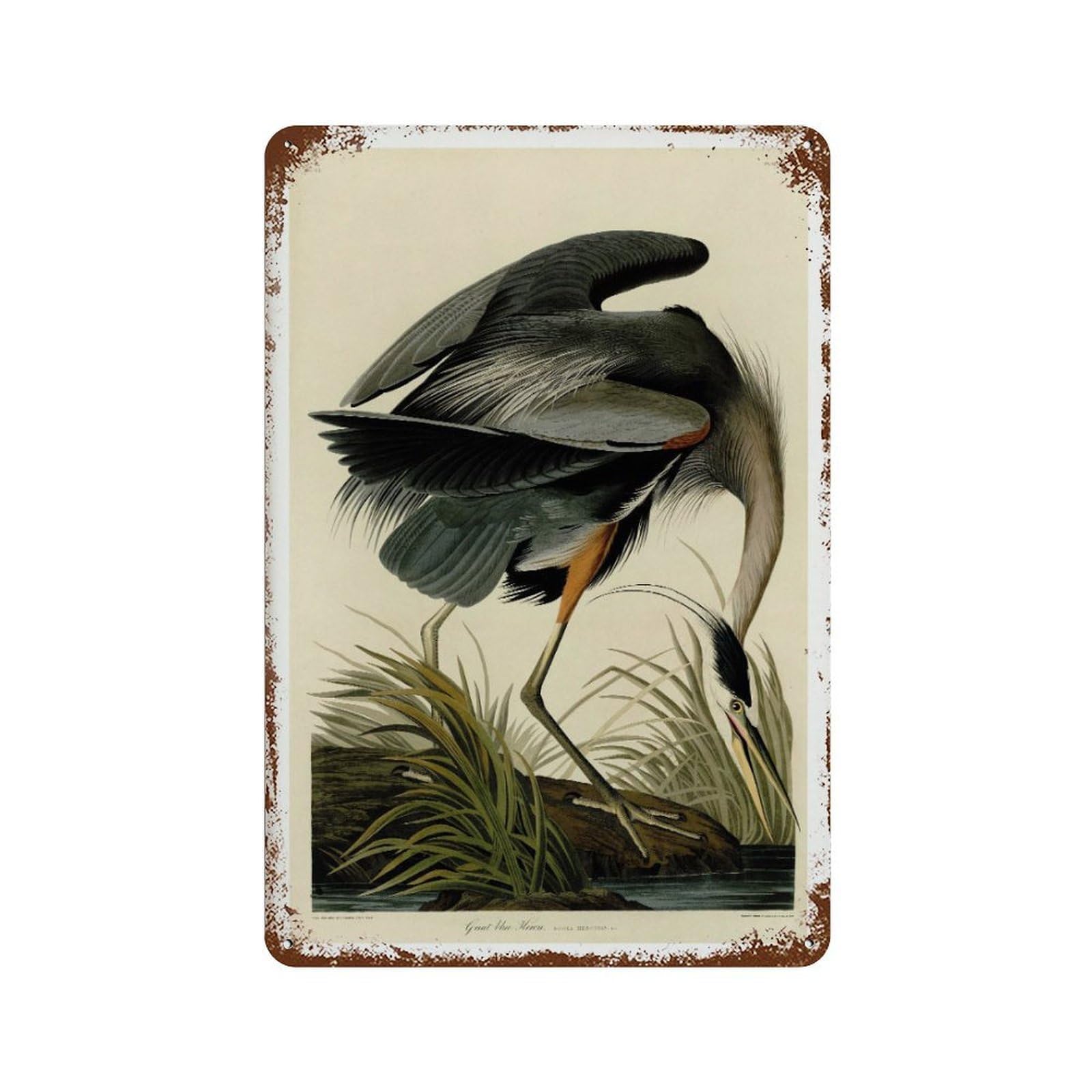 xiaoxiaoshen Vintage Great Blue Heron Animal Wall Decor Art Metal Tin Poster Modern Home Decor Art Home Bar Shop Decorations Vintage Sign 30x20cm
