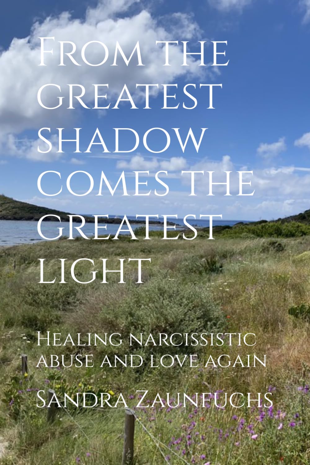 From the greatest shadow comes the greatest light: Healing narcissistic abuse and love again