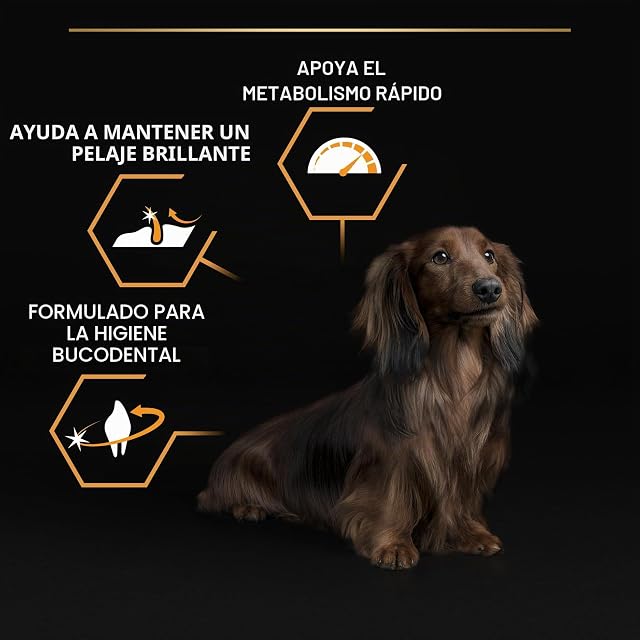 Foto 3 de 8 de Pro Plan PURINA Small & Mini Adult