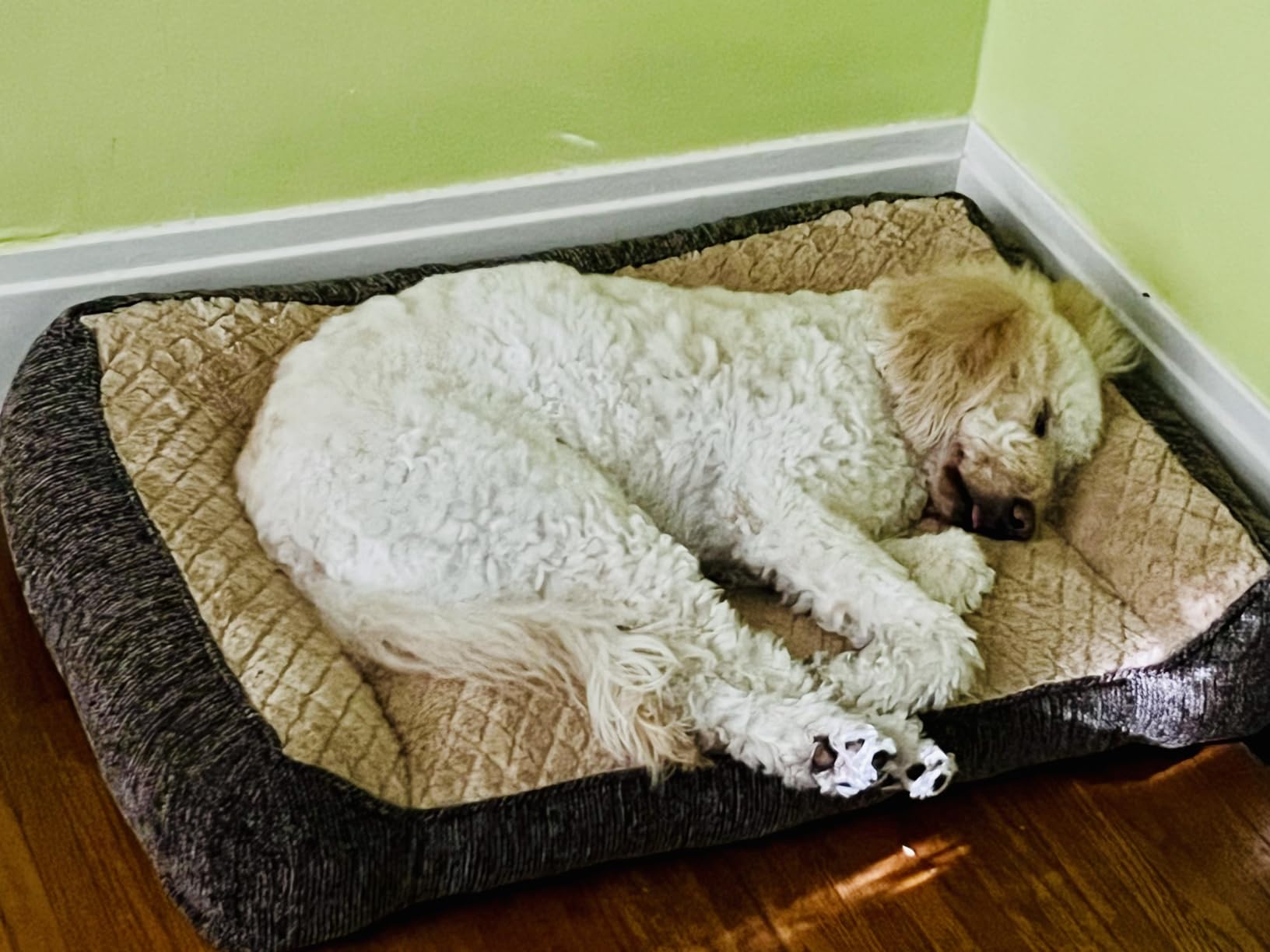 Customer review photo