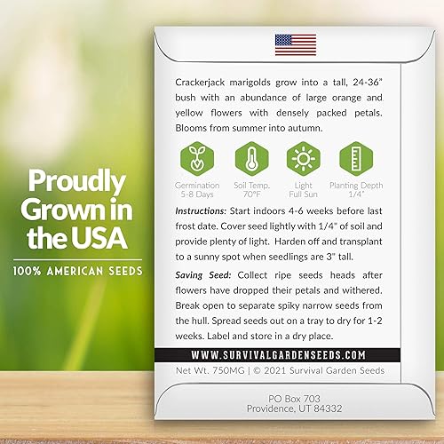 Miniatura 2 de Survival Garden Seeds - Semilla de caléndula Crackerjack para plantar - 3 paquetes con instrucciones para plantar y cultivar en tu huerto casero -