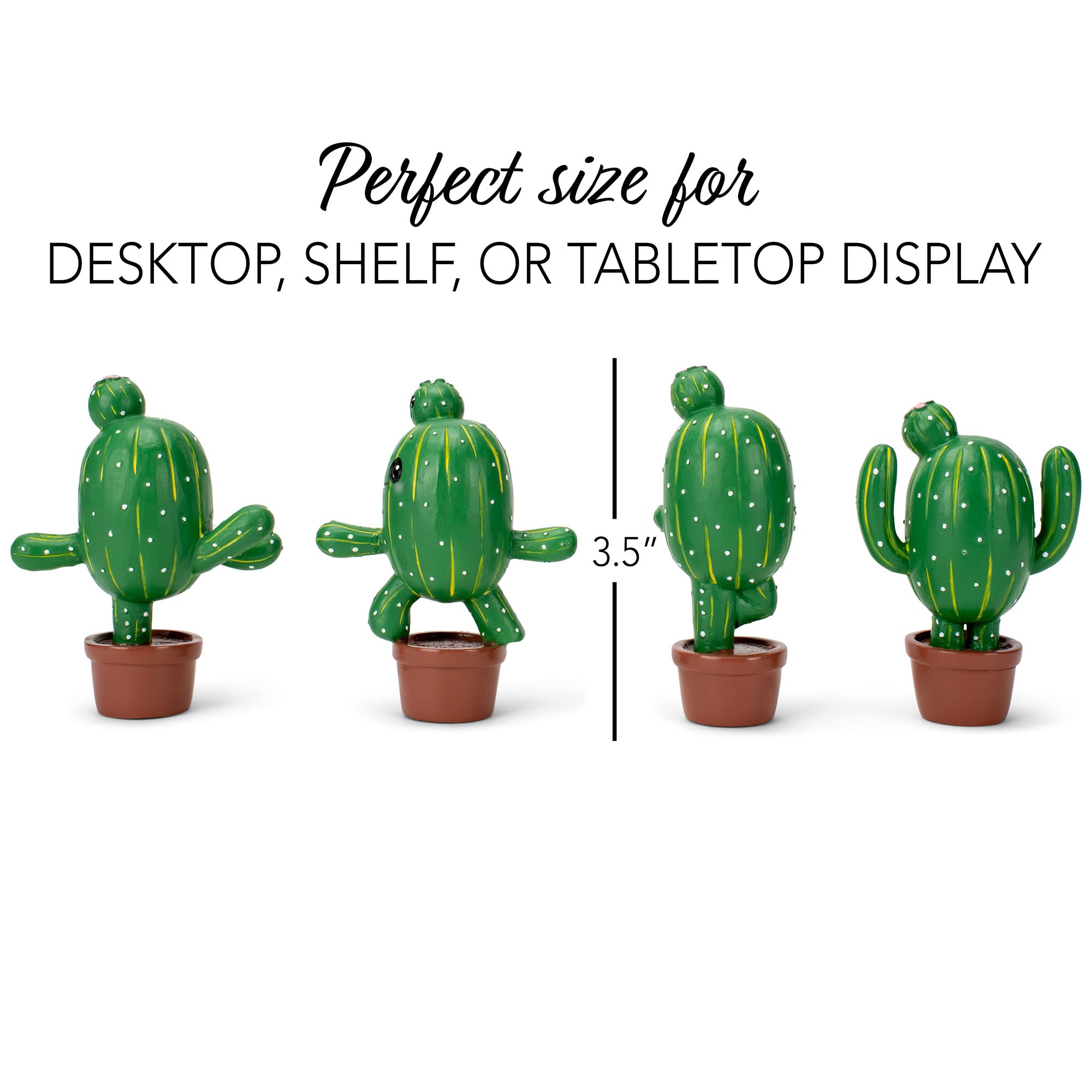 san pedro cactus how to prepare San Pedro Cactus Cuttings main image 1
