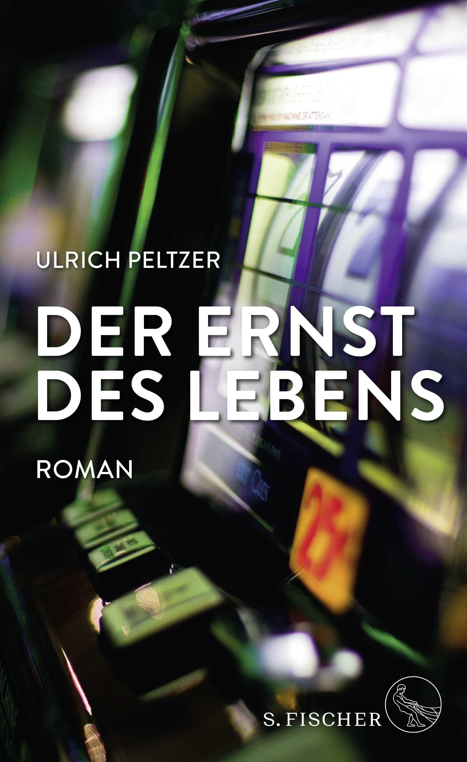 Der Ernst des Lebens: Roman