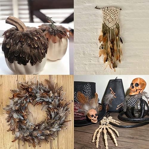 Miniatura 6 de 360 plumas naturales de 12 estilos surtidos de plumas para joyas y manualidades de atrapasueños