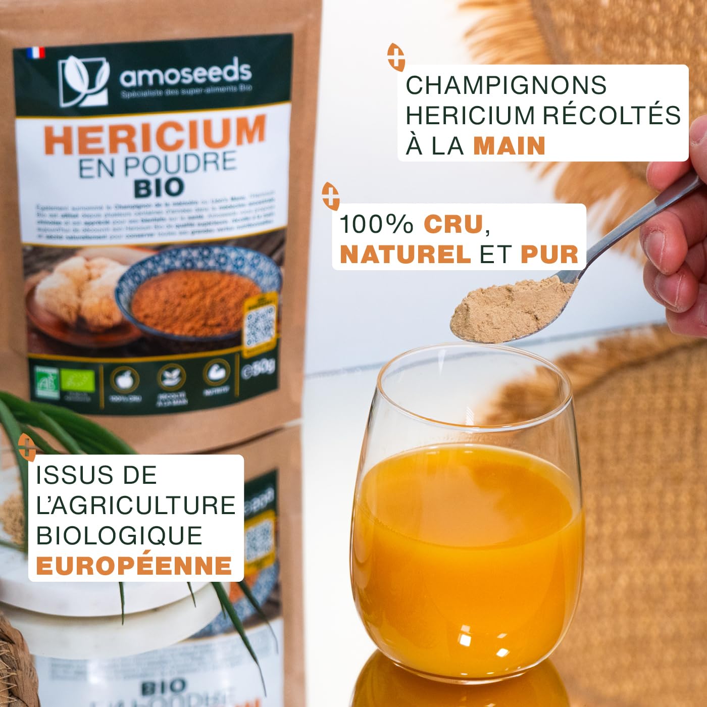 Hericium en poudre Bio (150g)