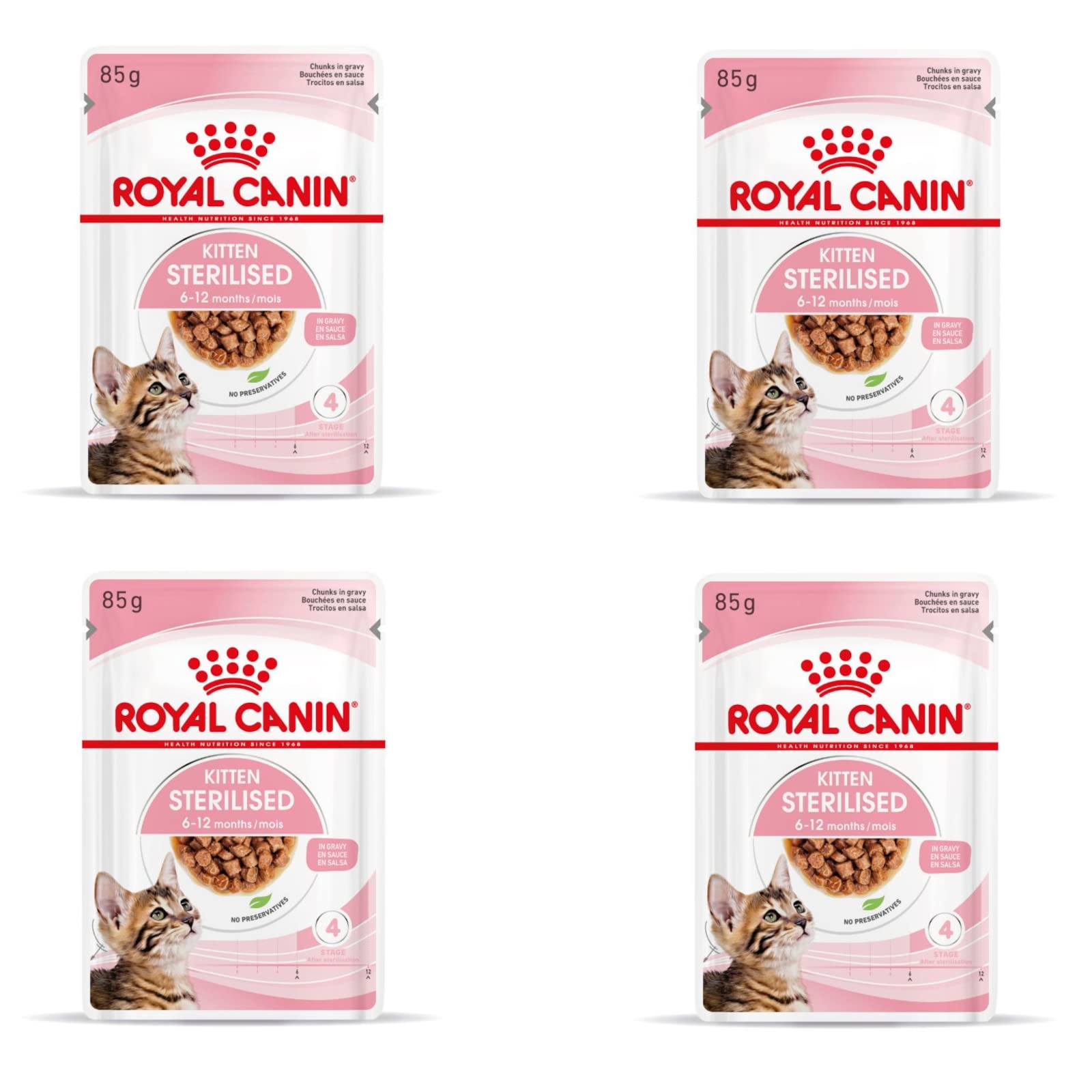 Royal Canin Kitten Sterilised Gravy | Paquete de 4 | 4 x 12 x 85 g | Alimento húmedo para Gatitos esterilizados en Crecimiento | De 6 a 12 Meses | Textura Suave para los Dientes de Leche