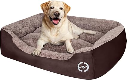 amazon canada dog beds