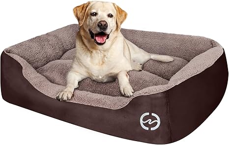 medium dog beds amazon