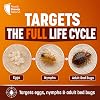 Bed Bug Killer Spray | 5 لتر | العلاج الكامل لإنهاء دورة حياة بق الفراش والبيض والحوريات | آمن للاستخدام على المراتب والفراش والسجاد | غير ملون & منخفضة الرائحة | تطبيق سريع وسهل