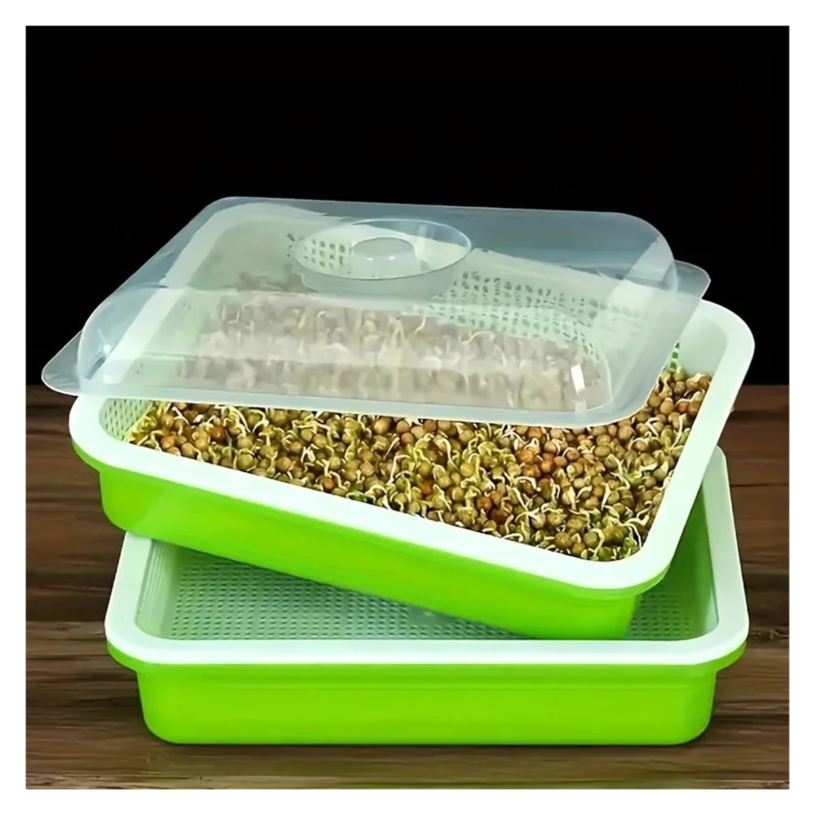 Générique Plateaux de Culture for graines germées, Panier hydroponique, germoir sans Sol, Kit Plateaux Germination avec Couvercle for Jardin