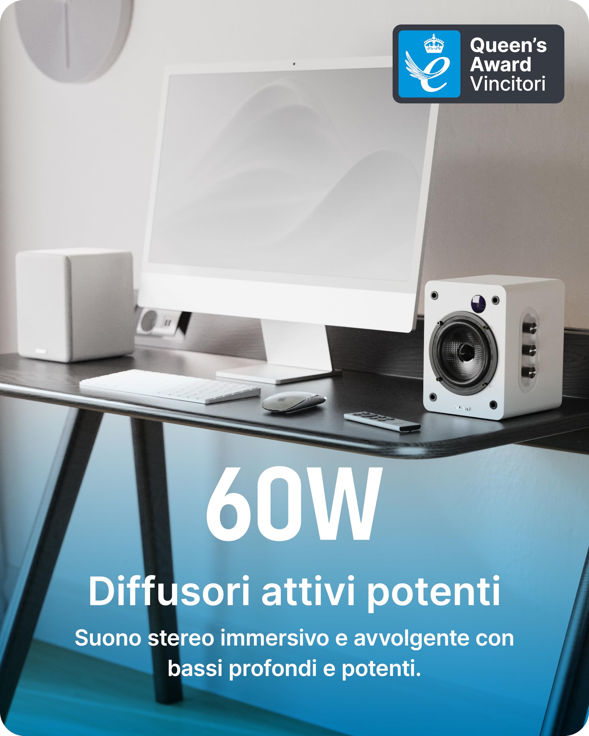 Altavoci D50X 60W Pair Amplificati - Dettaglio