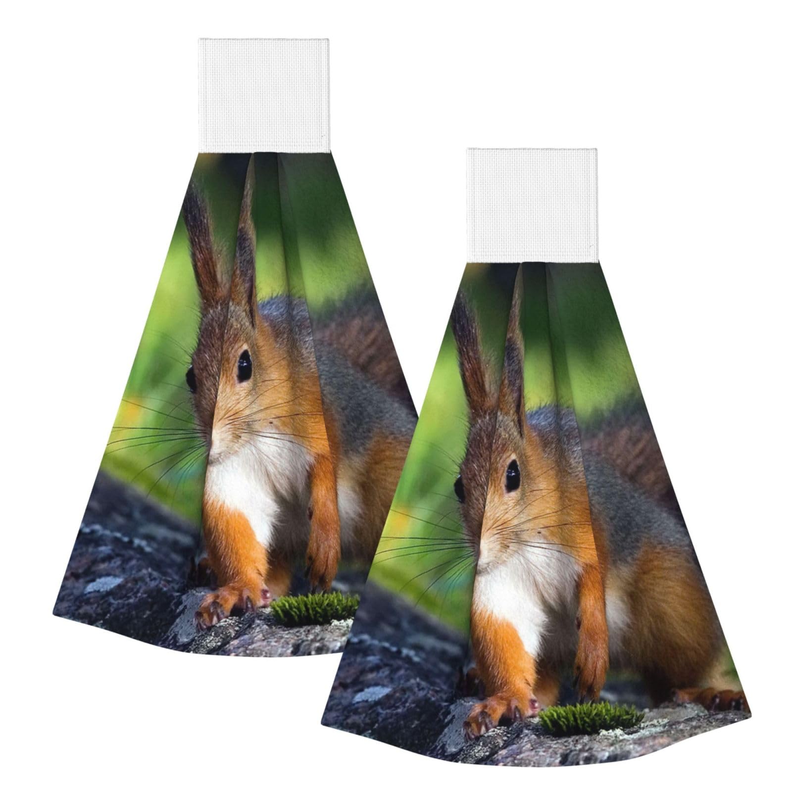 DOPKLNA Cute Squirrel, 2 Pcs Hanging Coral Fiber Hand Towels for Bathroom, Absorbent Kitchen Towels