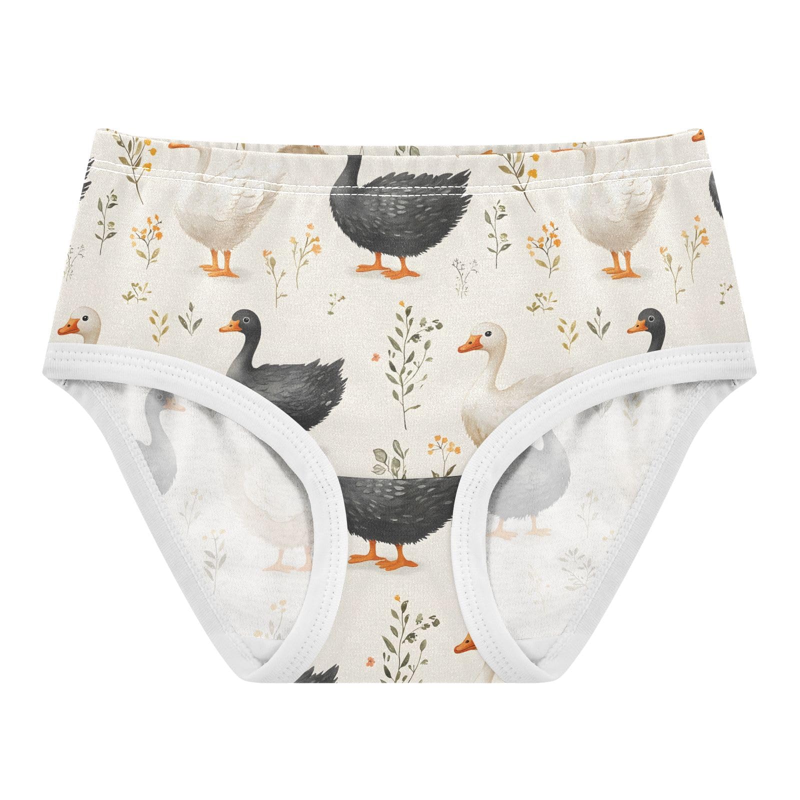ALAZA Toddler Girls Cotton Hipster Underwear Soft Goose 2 Pack 2T