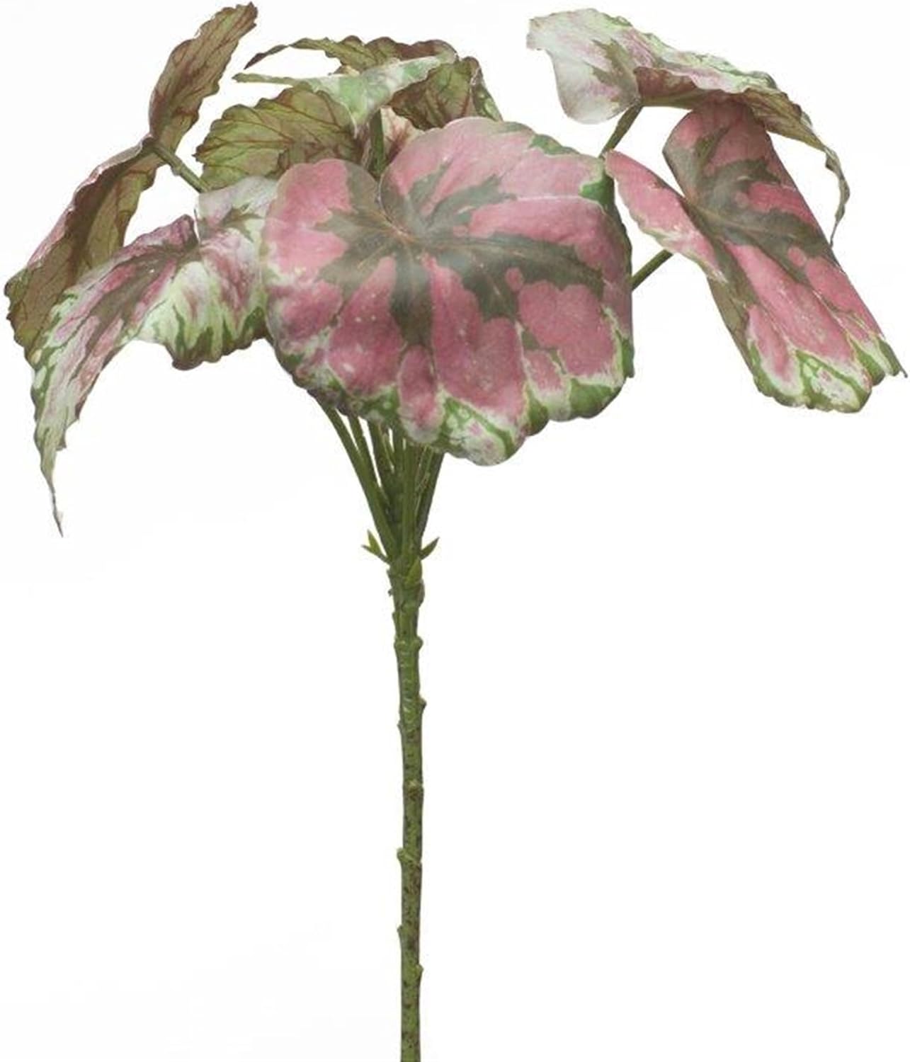 Melrose International Varigated Begonia Leaf Bush (Set of 2)