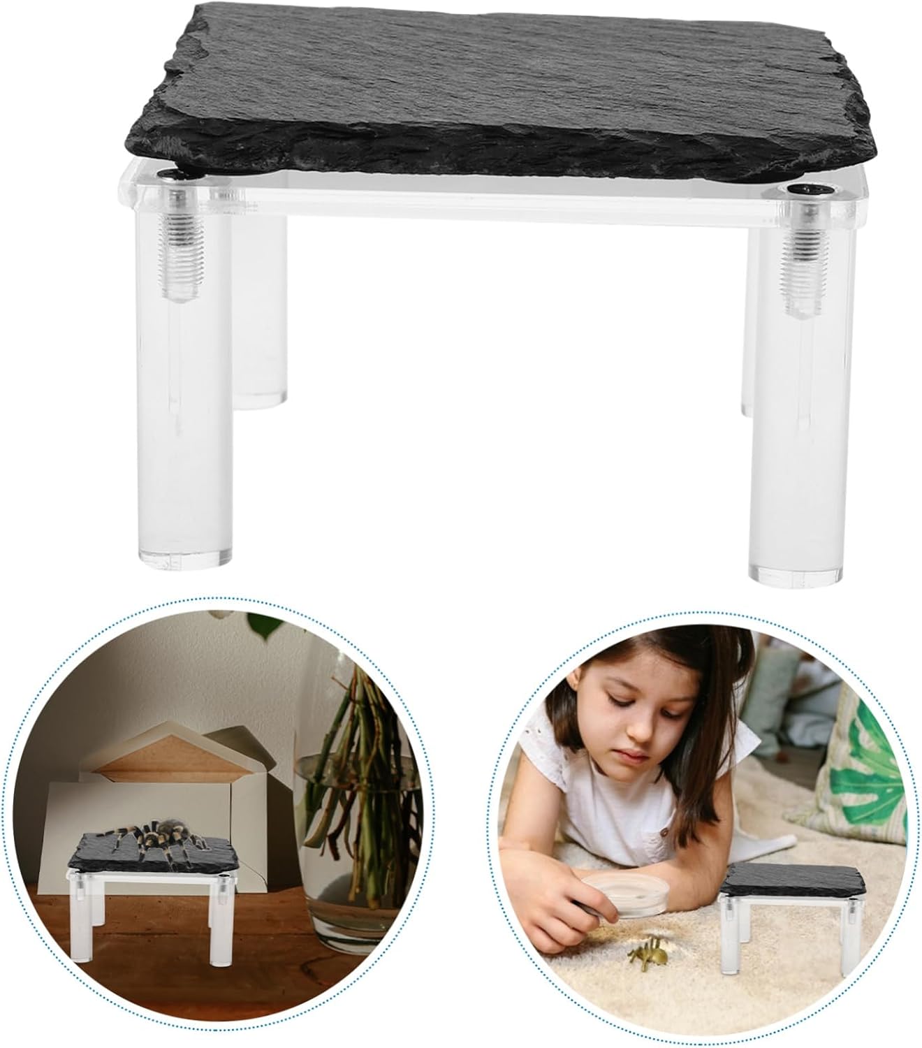 Reptile Basking Platform Rock Plate for Gecko Terrarium Decoration