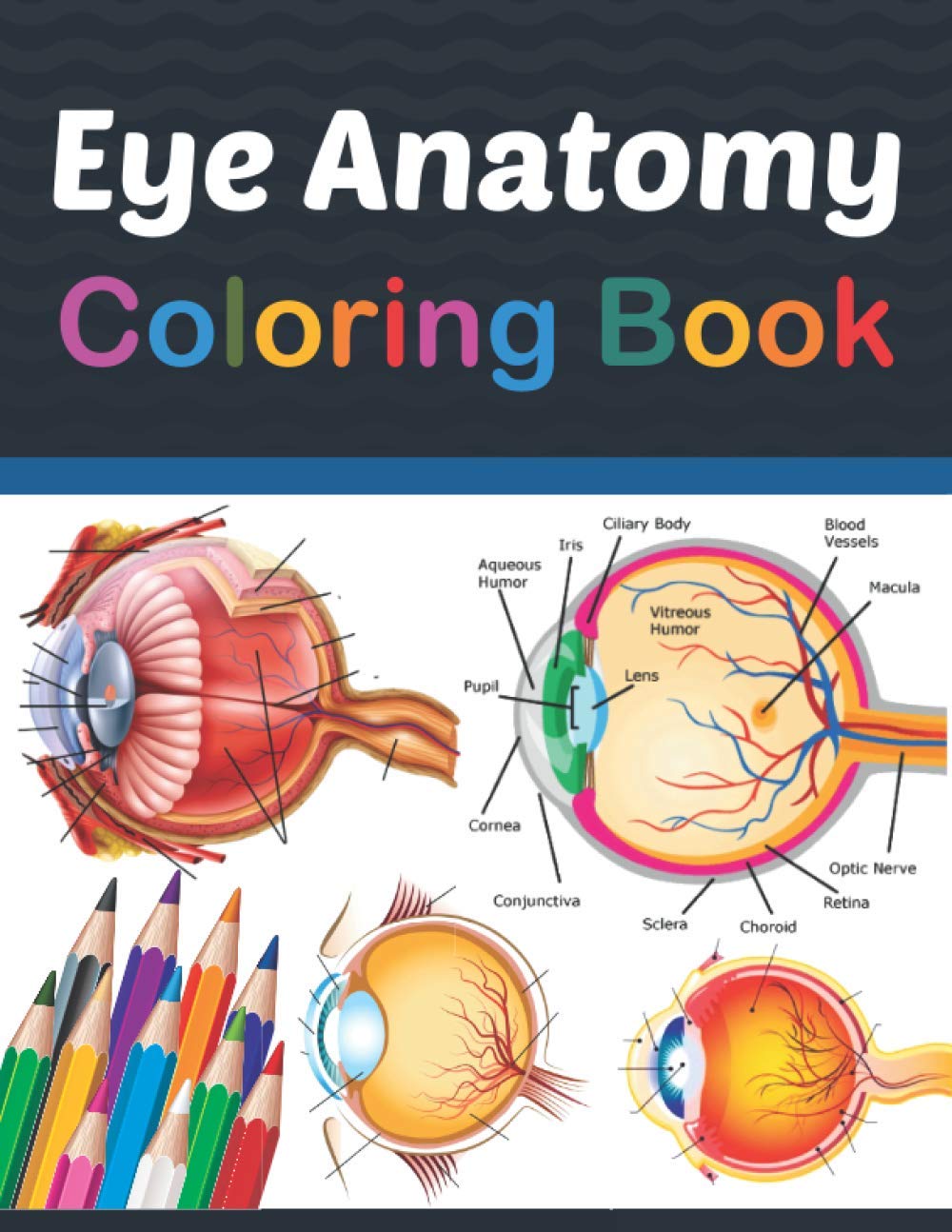 Buy Eye Anatomy Coloring Book Incredibly Detailed SelfTest Human Eye