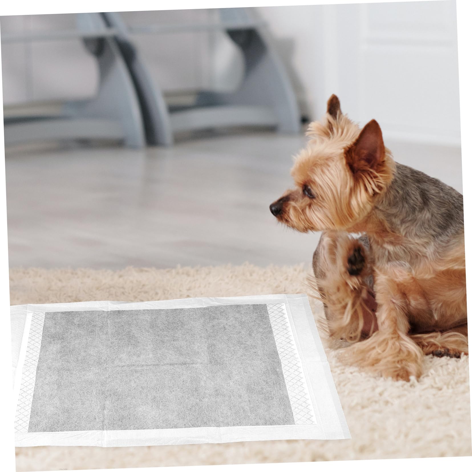 Yardwe Almohadillas para Mascotas Empapadores Absorbentes De Entrenamiento para Perros Y Gatos para Casa Y Protección Eficaz Y 100 Piezas*2