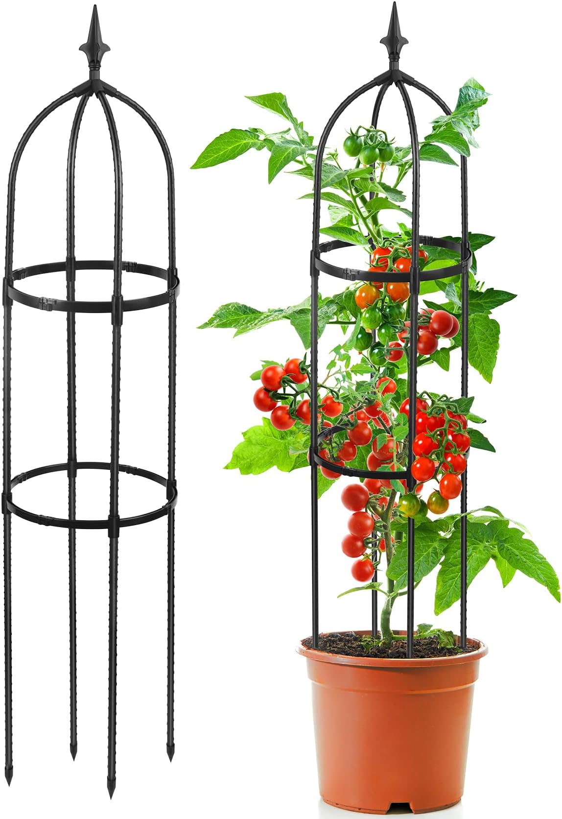 Gardeners Supply Company Jardin Bird Cage Plant Support