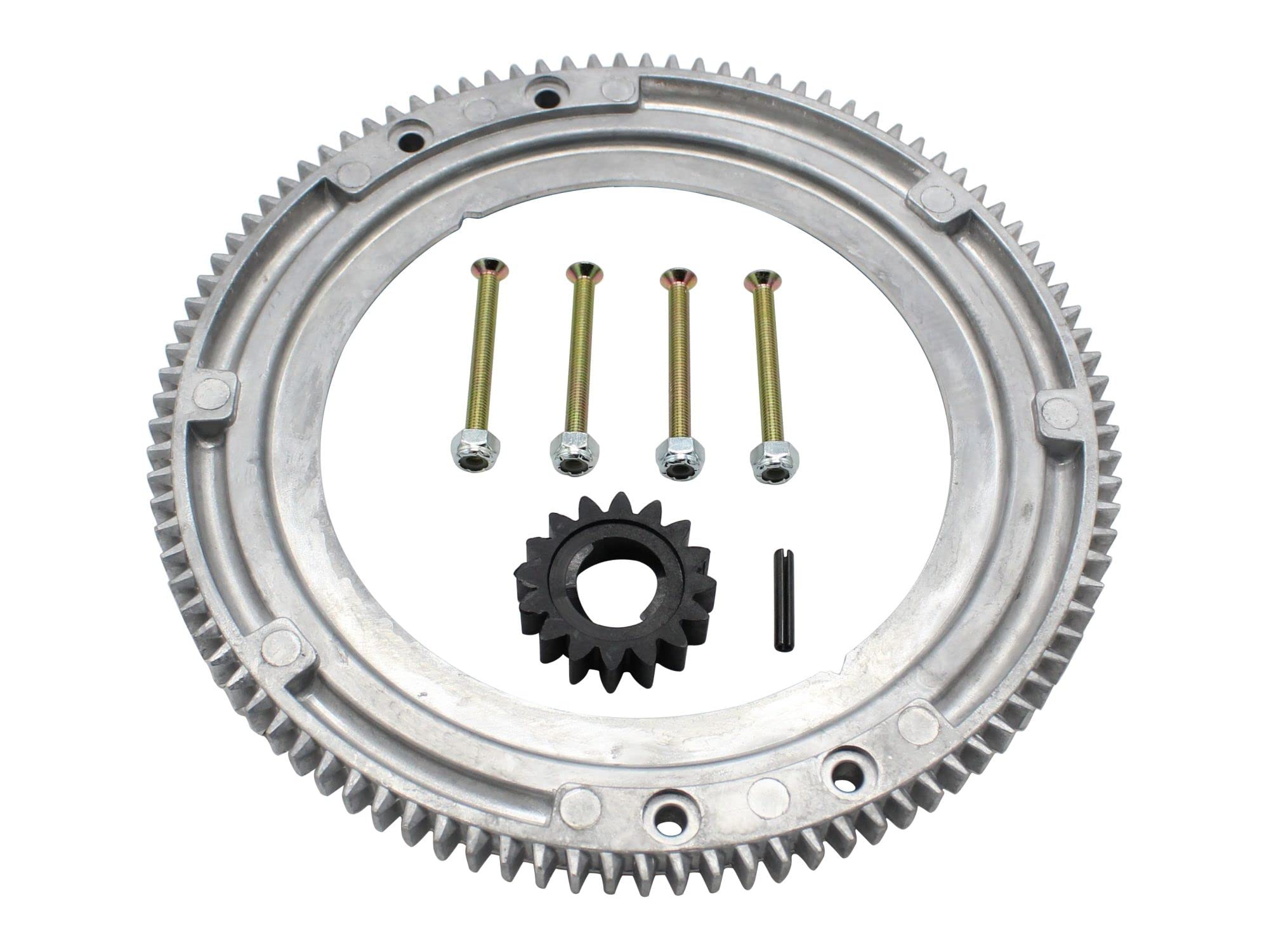 Couronne de démarrage SECURA Briggs & Stratton 282707 kit réparation volant moteur pièce