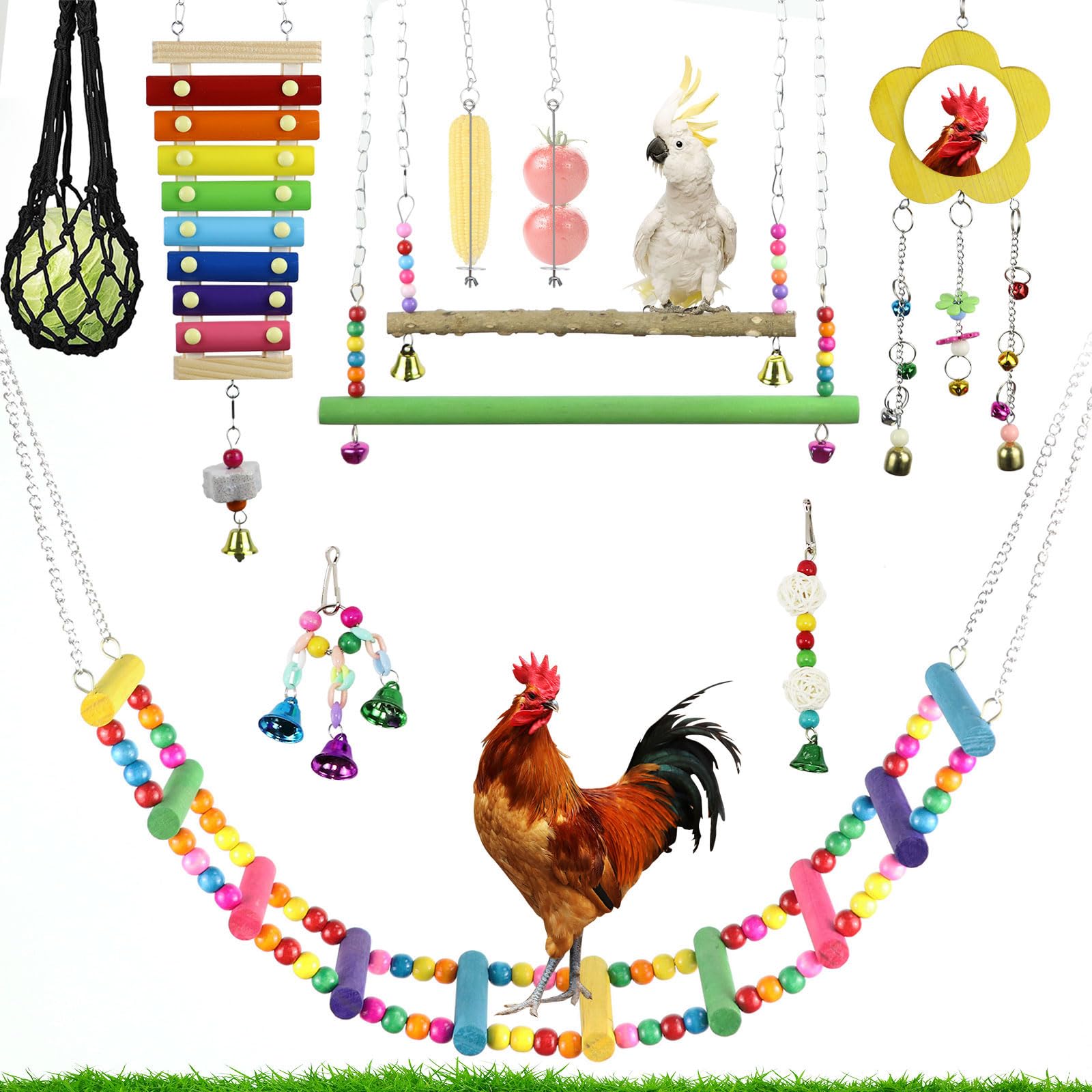 Jouet de xylophone de poulet et balançoires suspendues pour amuser les poules et perroquets