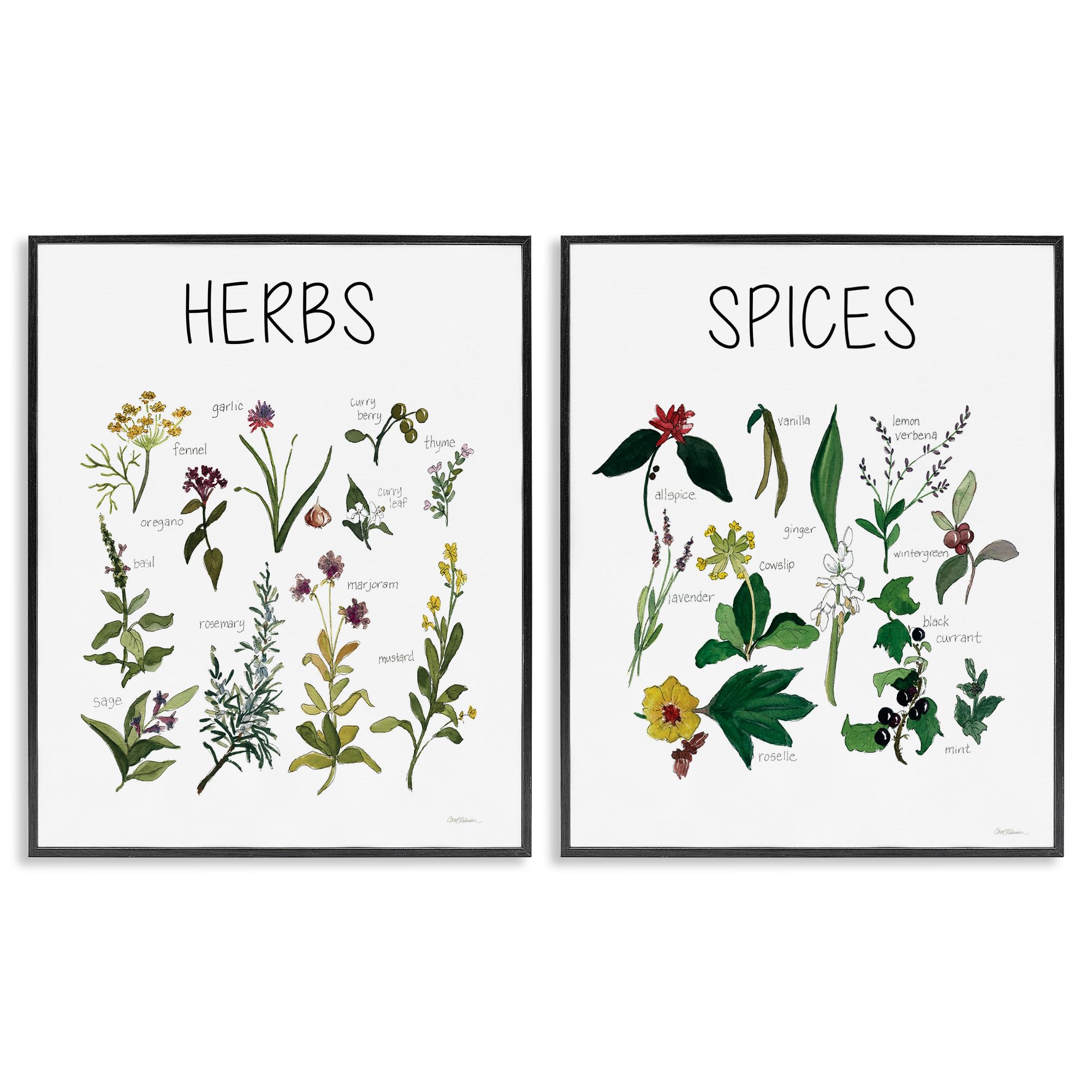 Stupell Industries Midnight Black (Textured) 'Culinary Herbs & Spices', 2Pc Framed Giclee Art Set 2, Black, 24 X 30 Inches, Easy To Hang And Sturdy, Made In Usa, By Carol Robinson