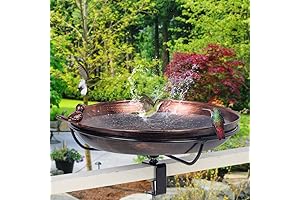 Easy-Mount Bird Bath: Delight for Bird Watching