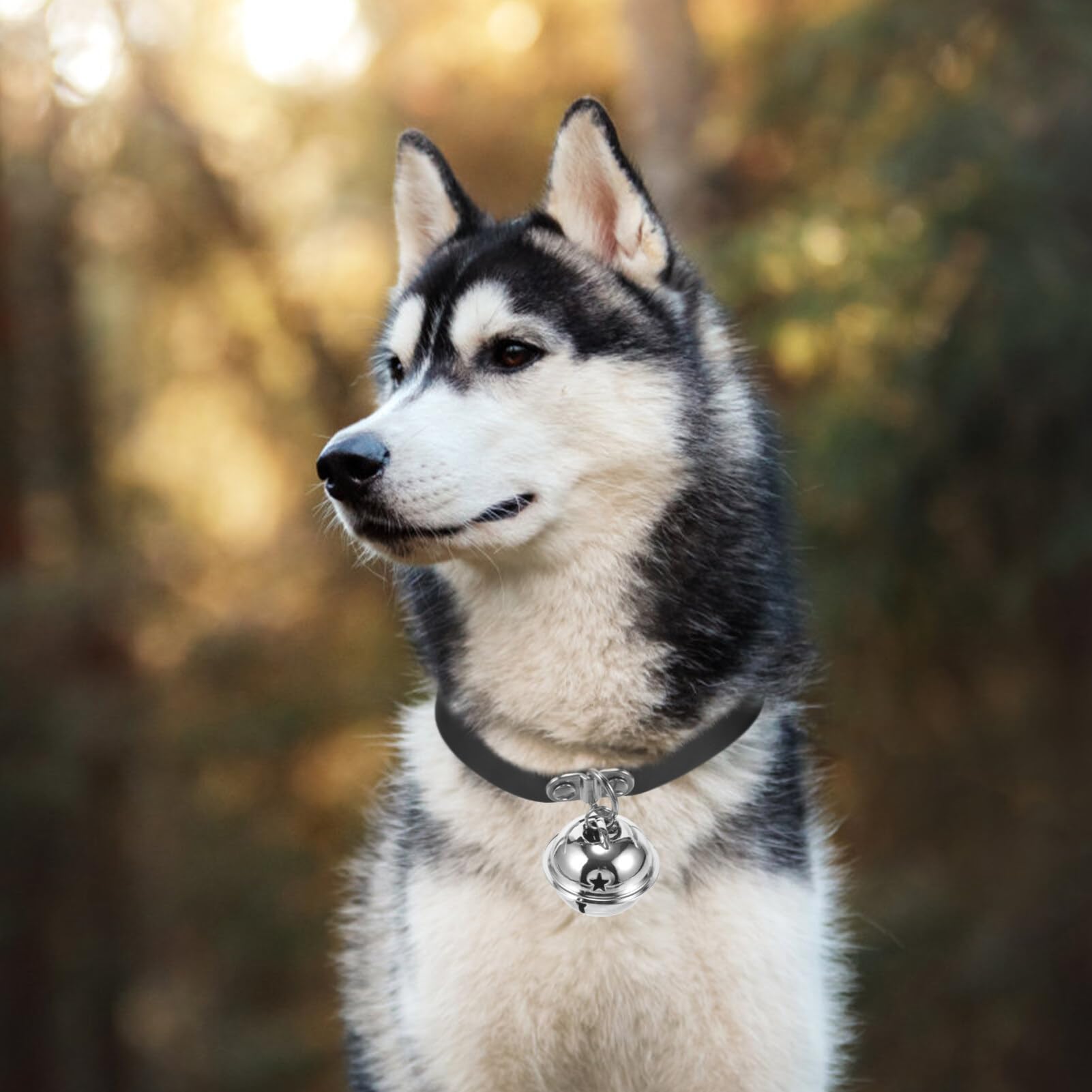 Housoutil Collier Ajustable pour Chien avec Cloche Collier PU Cuir pour Animaux De Compagnie Accessoire Confortable pour Chiens Et Chats