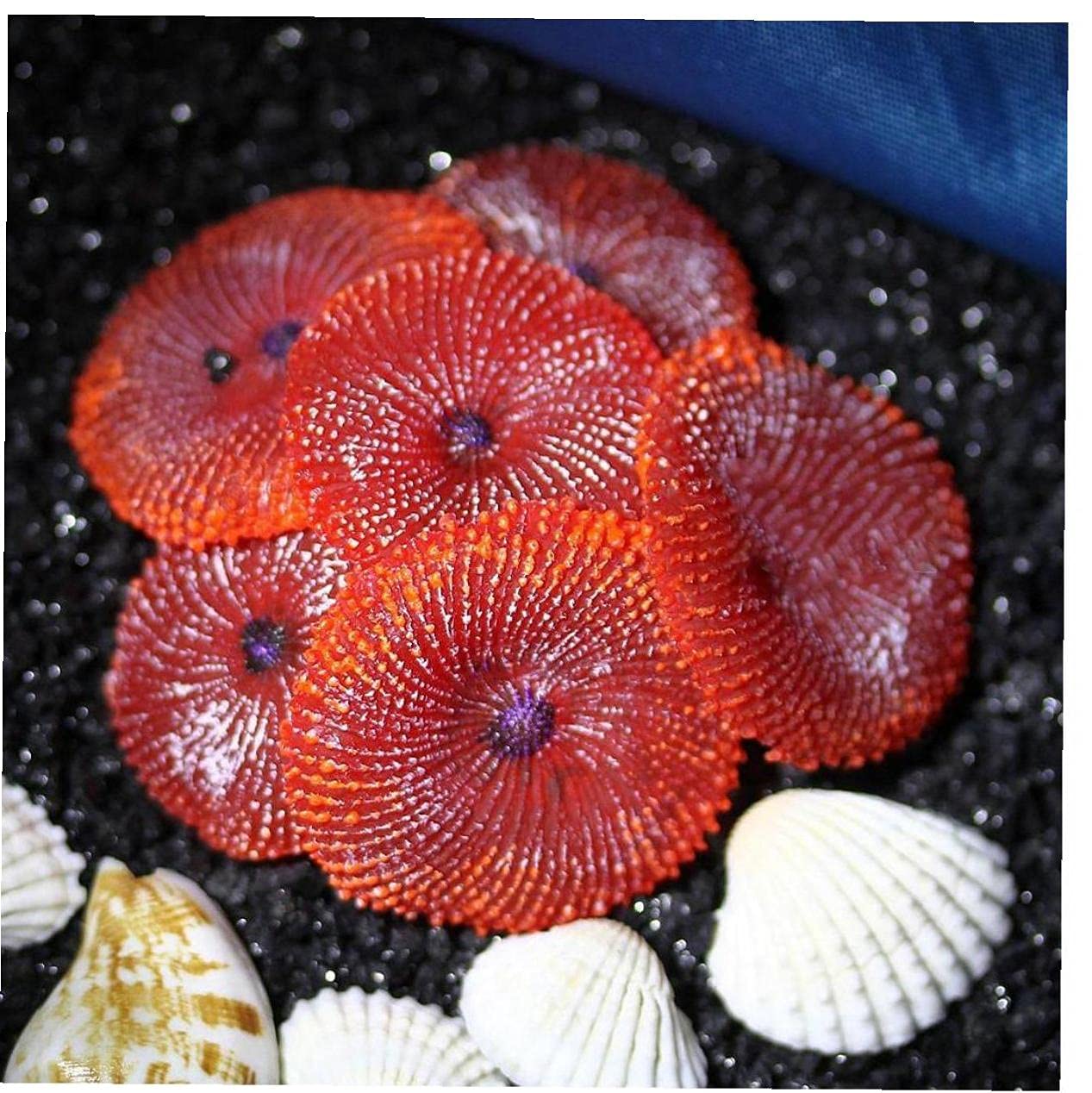 Aquarium Artificial Résine Coral Sea Ornement Ornement Poisson Débardeur Décoration Simulation Nontoxic
