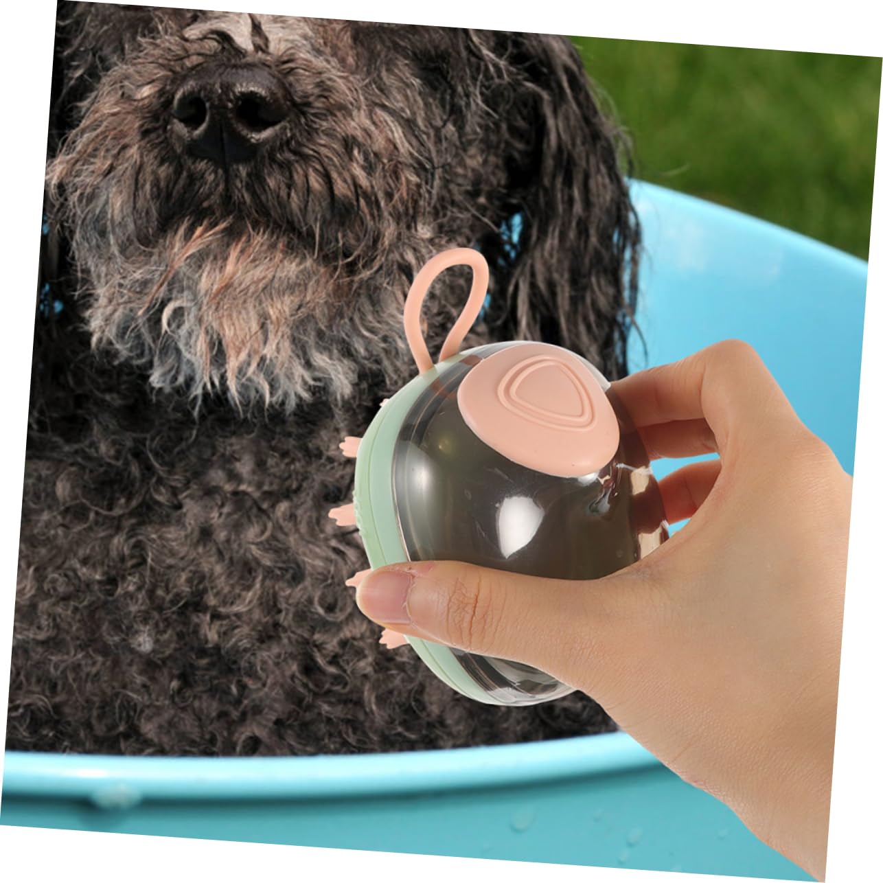 INOOMP 5piezas Cepillo Para Herramienta De Limpieza y Masaje Para y Gatos Cepillo Ergonómico De Para Gatos y Animales