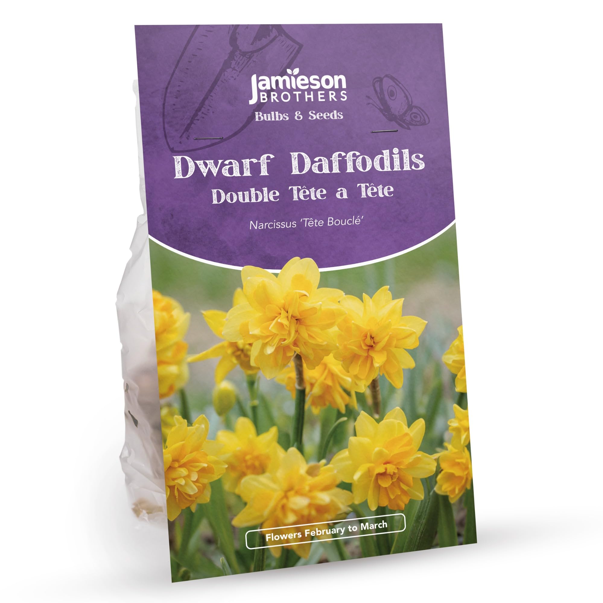 Double Tete a Tete Daffodil Bulbs 16 Bulbs, Dwarf Yellow Colour – Plant in Gardens, Borders & Flowerbeds – Flower Bulbs by Jamieson Brothers