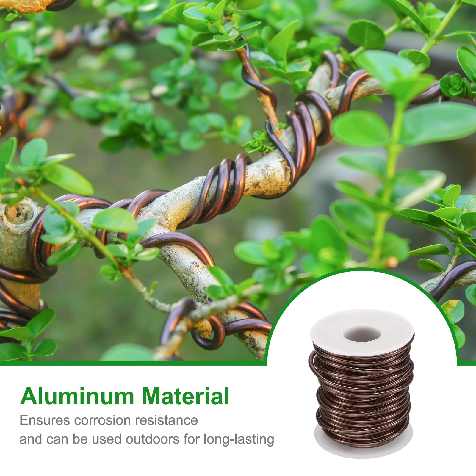 QUARKZMAN Rotolo di Filo Bonsai, Spessore 3mm, Lunghezza 33ft, Filo di Alluminio Anodizzato Flessibile per Attrezzi Bonsai, Alberi, Giardino, Orticoltura, Paesaggistica, Marrone