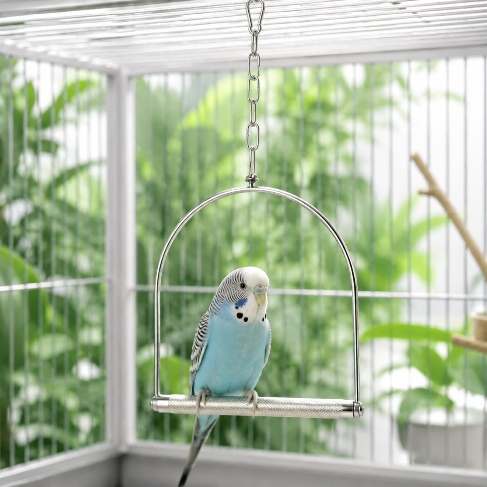 Colcolo Hängende Vogelschaukel aus Edelstahl Edelstahl-Vogelschaukel mit Kette Vogelspielzeug für Haustiervögel, Vogelkäfig, L