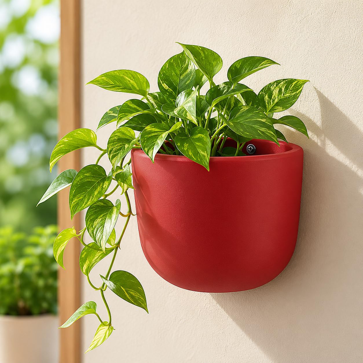 StyleMyWay Terracotta Wall Hanging Planter Pot (Diameter : 6.6 inches, Height : 6 inches)| Indoor Wall Mount Plant Pot | Terracotta Red | Handmade Clay Planter for Home Balcony & Garden-picture-14