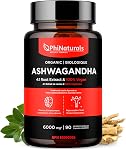 Organic Ashwagandha Supplément 4:1 Capsules d'extrait de racine 6000 Mg Équivalent racine entière par service - Witanolides de haute résistance 500mg Ashwaganda Par Capsule Cortisol Reducing Blocker pour les femmes et les hommes