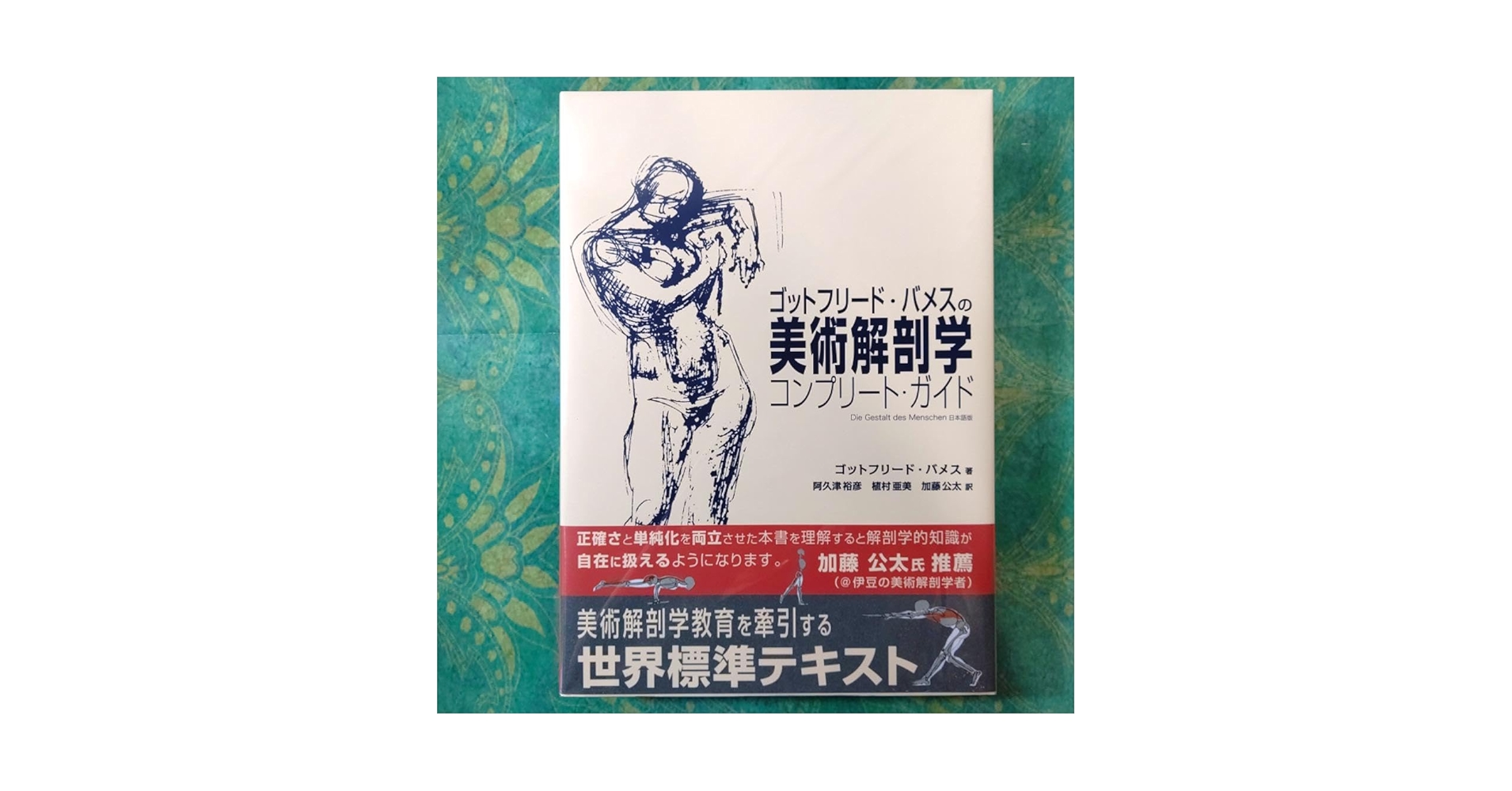 ゴットフリード・バメスの美術解剖学 Amazon.co.jp: ゴットフリード・バメスの美術解剖学 電子書籍